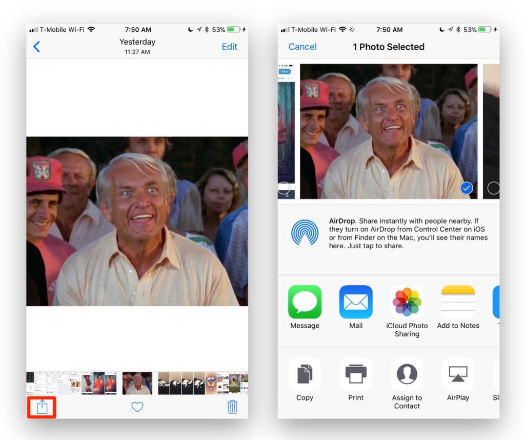 how-to-share-an-album-on-iphone